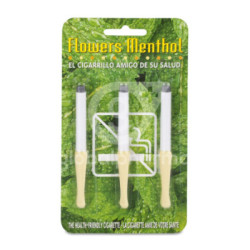 Cigarro Mentol Flowers Blist3U
